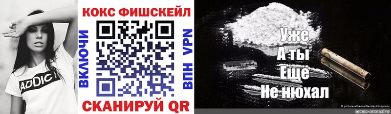 COCAIN Fish Scale  где купить наркоту  мега ссылка  Химки 