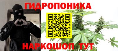 Альфа ПВП Бийск