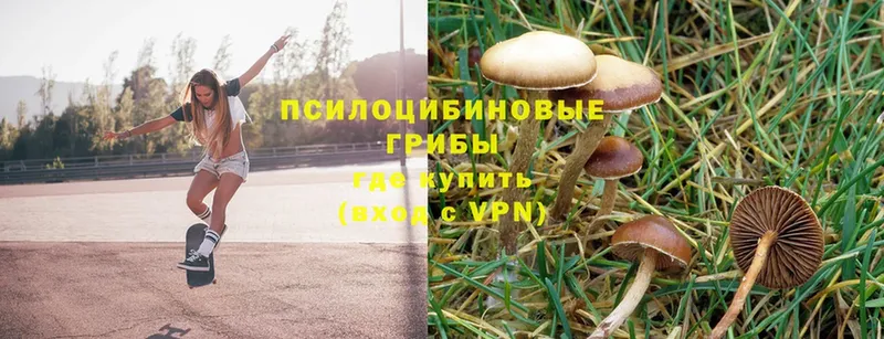 Псилоцибиновые грибы Magic Shrooms  Химки 