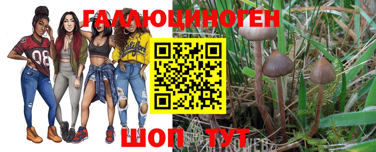 Псилоцибиновые грибы Psilocybine cubensis  Галлюциногенные грибы GOLDEN TEACHER  Вход с VPN  Химки 