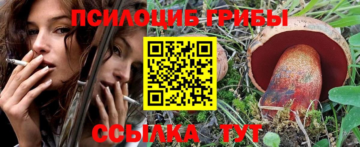 Галлюциногенные грибы MAGIC MUSHROOMS Химки