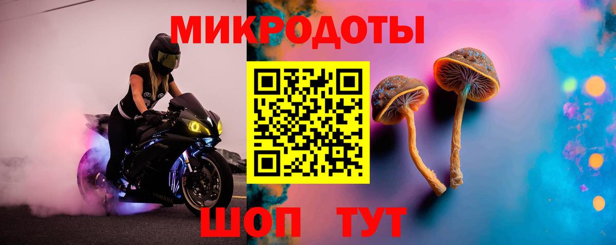 Псилоцибиновые грибы Magic Shrooms  как найти закладки  Псилоцибиновые грибы MAGIC MUSHROOMS  Химки 
